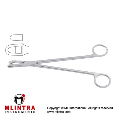 Schubert Biopsy Forcep Stainless Steel, 28 cm - 11" Bite Size 4.8 mm Schubert Biopsy Forcep Stainless Steel, 28 cm - 11" Bite Size 4.8 mm
